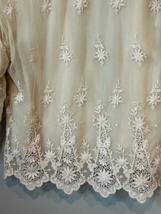 Zara Sheer Embroidered Kimono in Beige with White Lace - Picture 12 of 16